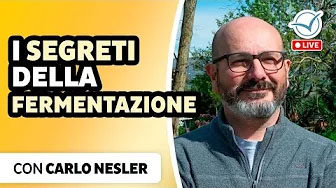 Carlo Nesler