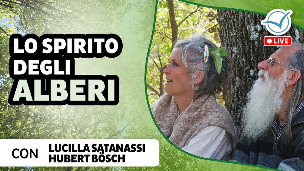 Lo spirito degli alberi